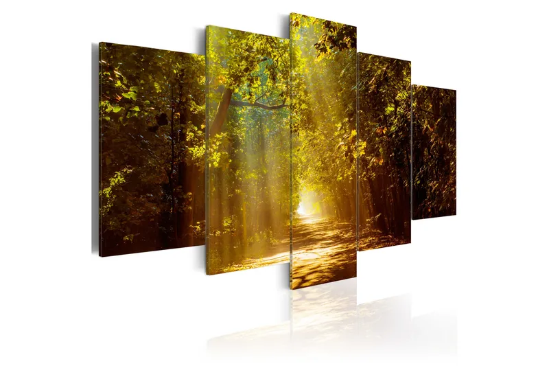 Bilde Forest In The Sunlight 100x50, Artgeist sp. z o. o.