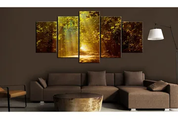 Bilde Forest In The Sunlight 200x100 - Artgeist sp. z o. o. - Innredning - Bilder & kunst - Lerretsbilder