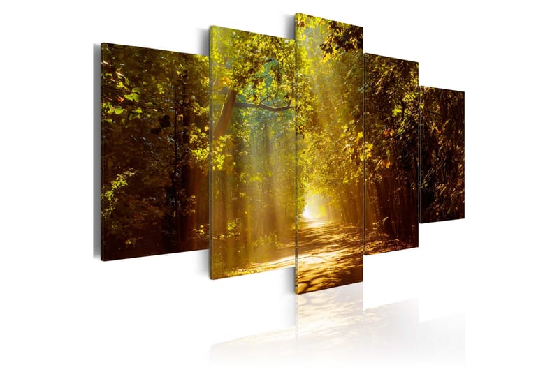 Bilde Forest In The Sunlight 200x100, Artgeist sp. z o. o.