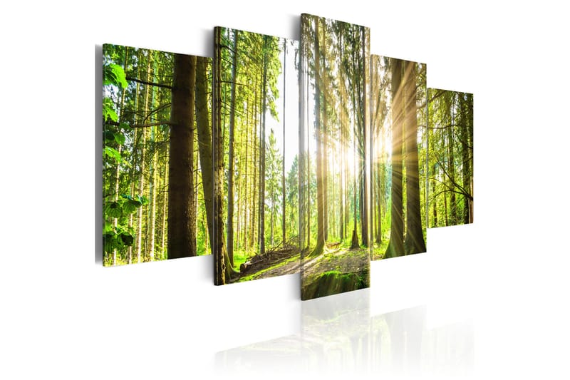 Bilde Forest Kingdom 100x50 - Artgeist sp. z o. o. - Innredning - Bilder & kunst - Lerretsbilder