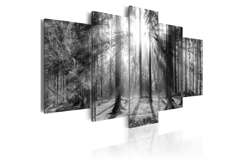 Bilde Forest Of Memories 200x100, Artgeist sp. z o. o.