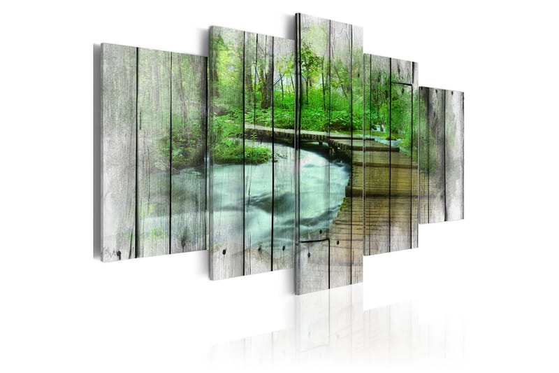 Bilde Forest Of Secrets 100x50, Artgeist sp. z o. o.