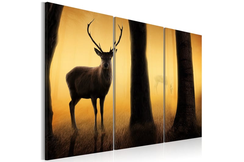 Bilde Forest Vakt 120x80, Artgeist sp. z o. o.