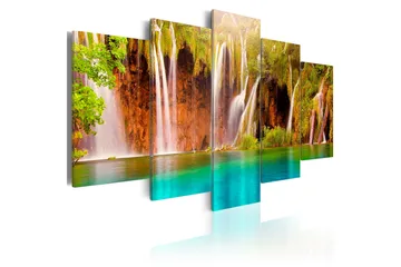 Bilde Forest Waterfall 200x100