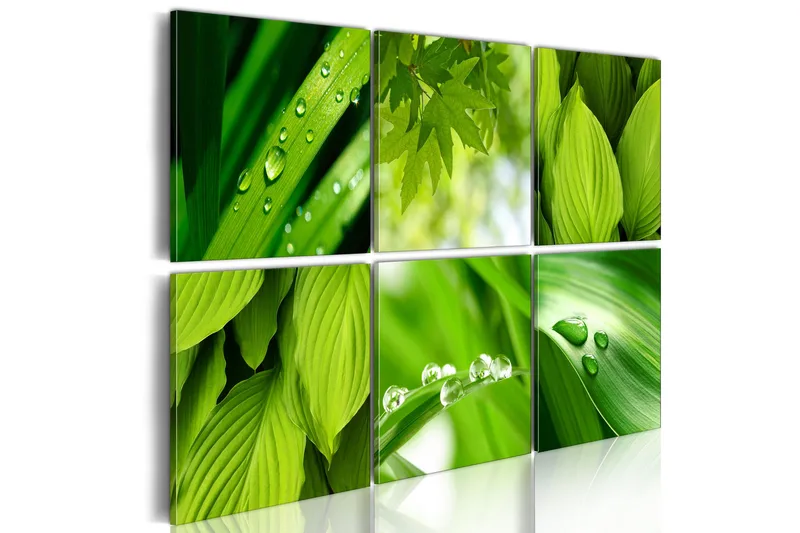 Bilde Fresh Green Leaves 120x80 - Artgeist sp. z o. o. - Innredning - Bilder & kunst - Lerretsbilder