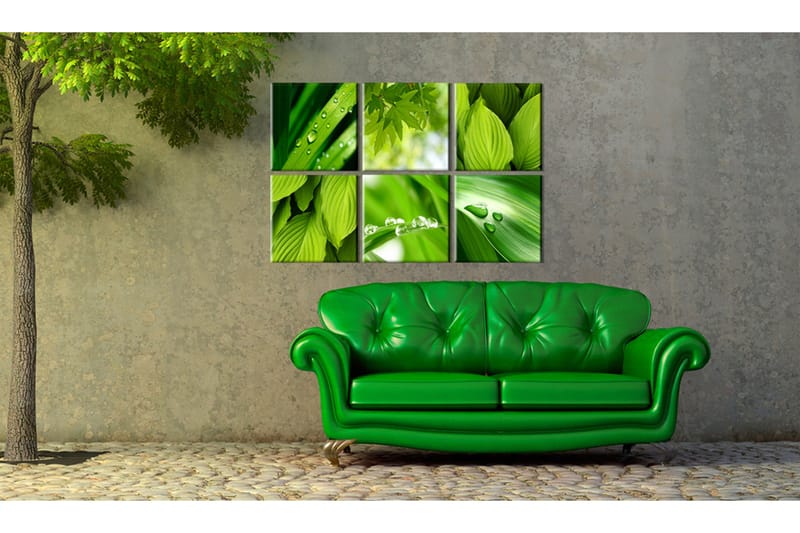 Bilde Fresh Green Leaves 120x80 - Artgeist sp. z o. o. - Innredning - Bilder & kunst - Lerretsbilder