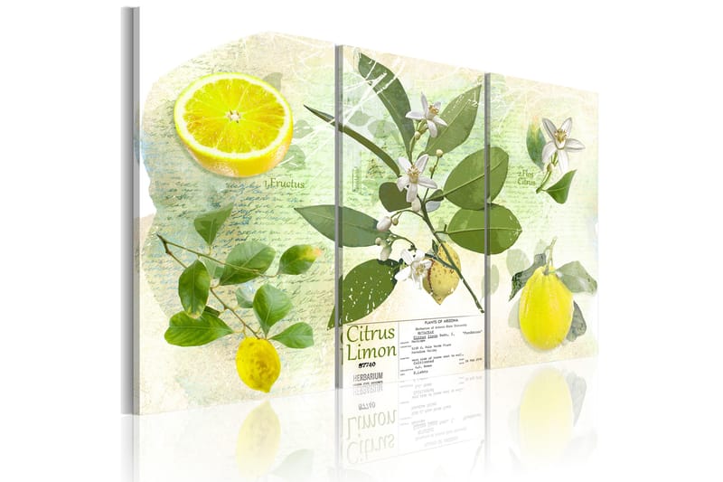 Bilde Fruit Lemon 60x40 - Artgeist sp. z o. o. - Lerretsbilder
