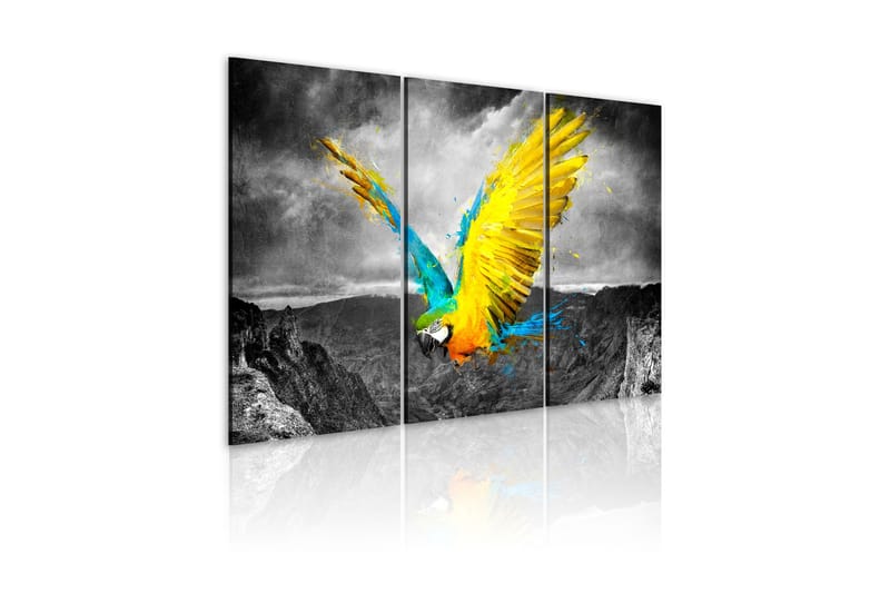 Bilde Fugl-Av-Paradis 60x40, Artgeist sp. z o. o.