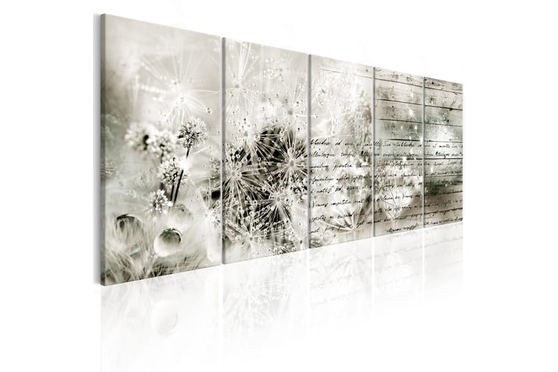 Bilde Full Of Secrets 225x90, Artgeist sp. z o. o.