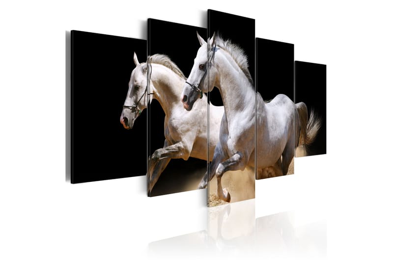 Bilde Gallop- Freedom And Power 100x50, Artgeist sp. z o. o.