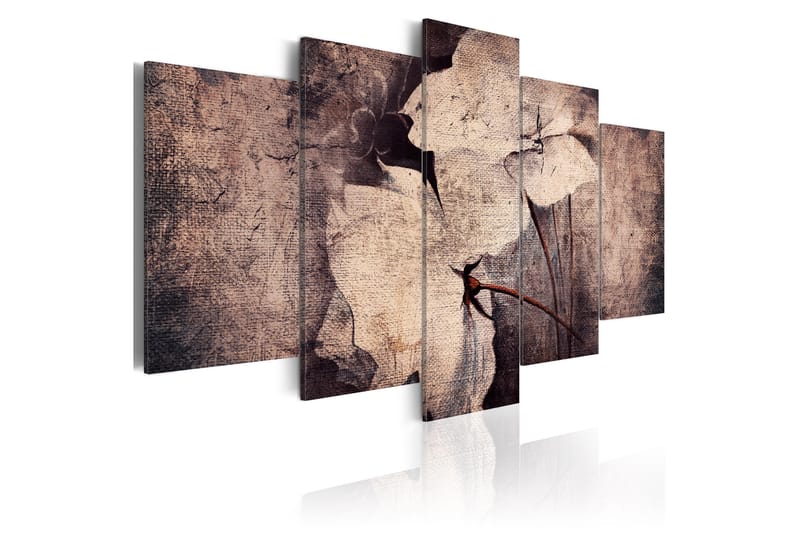 Bilde Garden Of Time 100x50 - Artgeist sp. z o. o. - Innredning - Bilder & kunst - Lerretsbilder
