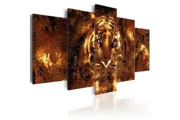 Bilde Golden Tiger 100x50