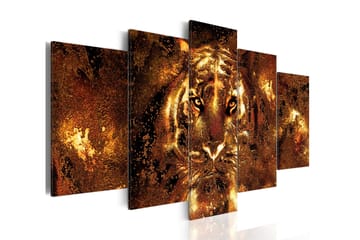 Bilde Golden Tiger 200x100