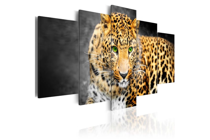 Bilde Green-Eyed Leopard 100x50 - Artgeist sp. z o. o. - Innredning - Bilder & kunst - Lerretsbilder