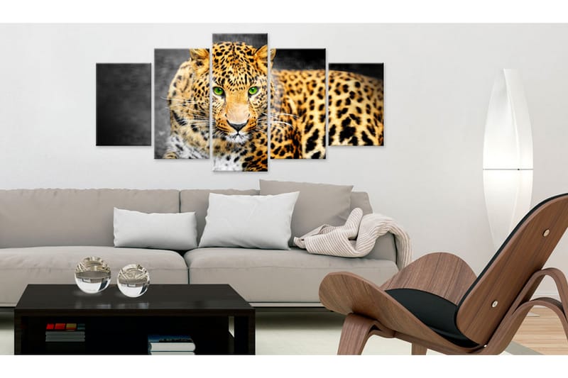 Bilde Green-Eyed Leopard 100x50 - Artgeist sp. z o. o. - Innredning - Bilder & kunst - Lerretsbilder