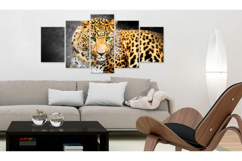 Bilde Green-Eyed Leopard 100x50 - Artgeist sp. z o. o. - Lerretsbilder