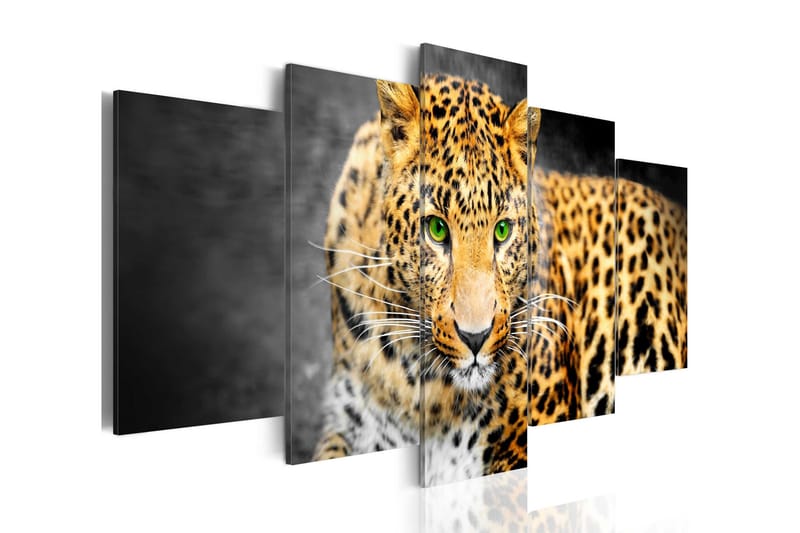 Bilde Green-Eyed Leopard 200x100, Artgeist sp. z o. o.