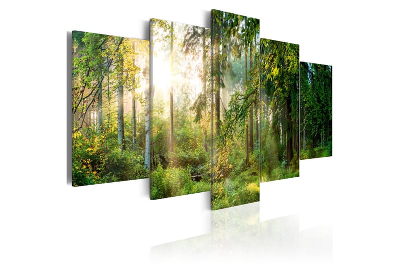 Bilde Green Sanctuary 100x50 - Artgeist sp. z o. o. - Lerretsbilder