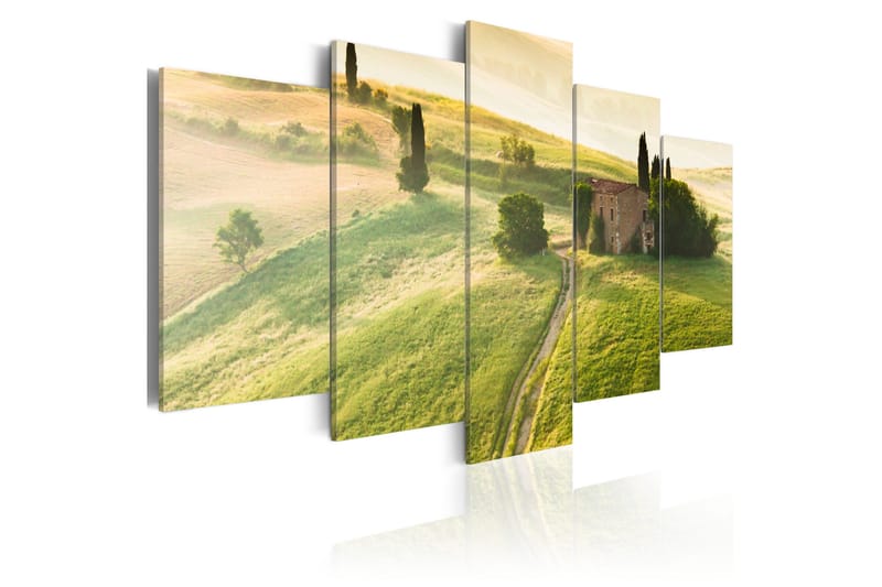 Bilde Green Tuscany 100x50, Artgeist sp. z o. o.