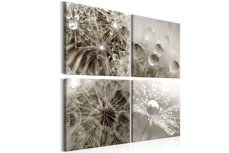 Bilde Grey Dandelion 80x80, Artgeist sp. z o. o.