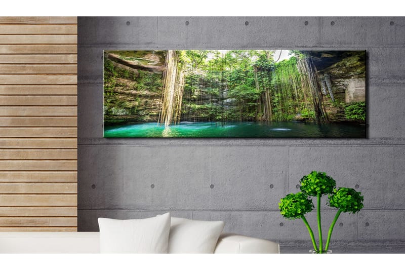 Bilde Hidden Treasure Of The Nature 120x40 - Artgeist sp. z o. o. - Innredning - Bilder & kunst - Lerretsbilder