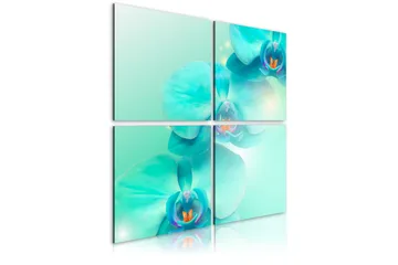 Bilde Himmelblå Orkidéer 80x80 - Artgeist sp. z o. o. - Innredning - Bilder & kunst - Lerretsbilder
