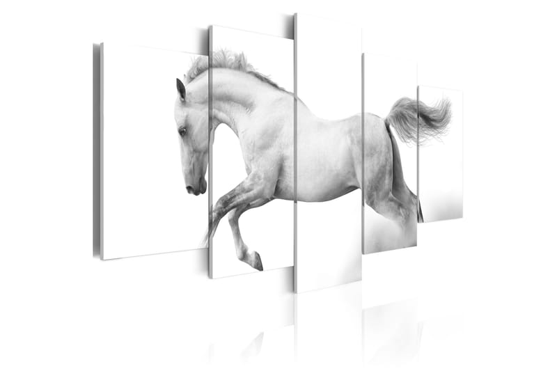 Bilde Horse- Passion And Freedom 100x50 - Artgeist sp. z o. o. - Innredning - Bilder & kunst - Lerretsbilder