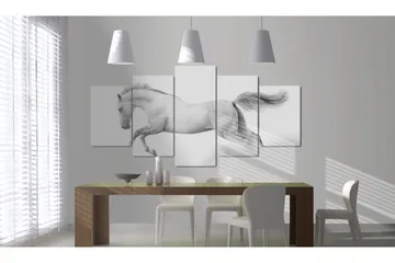 Bilde Horse- Passion And Freedom 200x100 - Artgeist sp. z o. o. - Innredning - Bilder & kunst - Lerretsbilder
