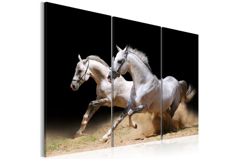 Bilde Horses- power and velocity 90x60, Artgeist sp. z o. o.