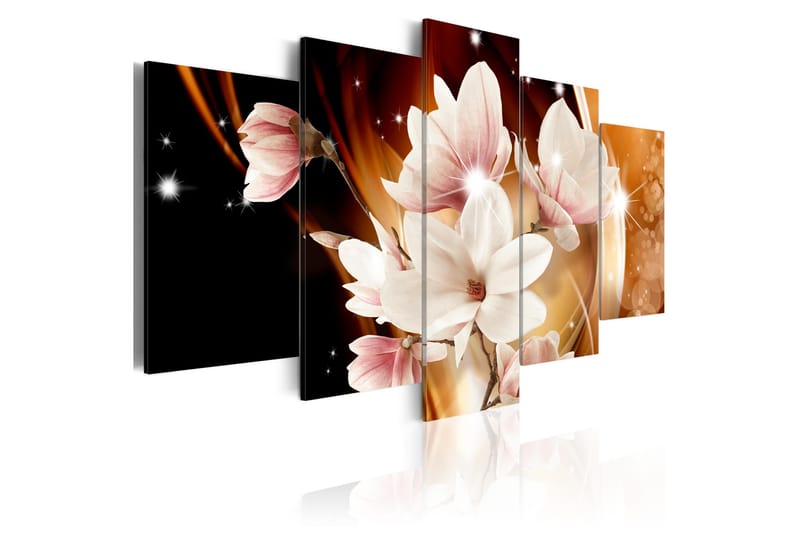 Bilde Illumination Magnolia 100x50, Artgeist sp. z o. o.