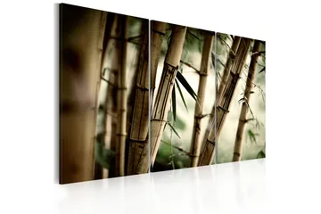 Bilde In a tropical forest 90x60