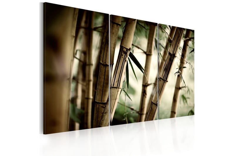 Bilde In a tropical forest 90x60, Artgeist sp. z o. o.