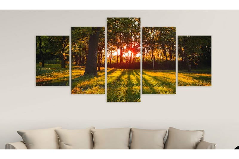 Bilde In The Shade Of Forest 200x100 - Artgeist sp. z o. o. - Innredning - Bilder & kunst - Lerretsbilder