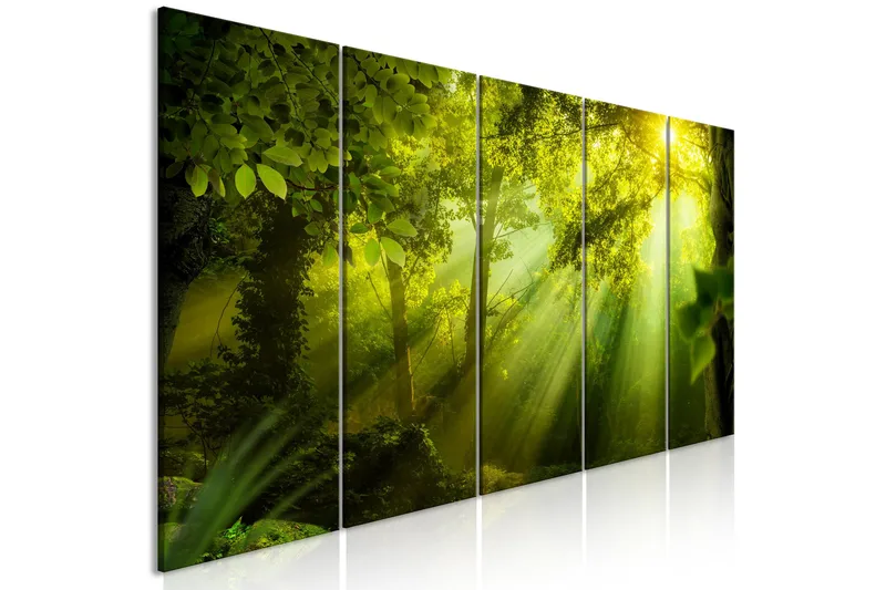 Bilde In The Sunshine 5 Parts Narrow 225x90, Artgeist sp. z o. o.