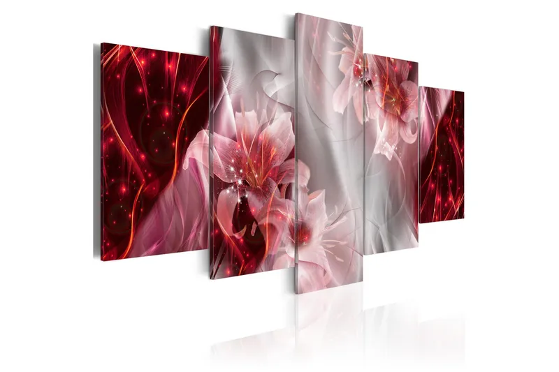 Bilde Incarnadine Comet 100x50 - Artgeist sp. z o. o. - Innredning - Bilder & kunst - Lerretsbilder