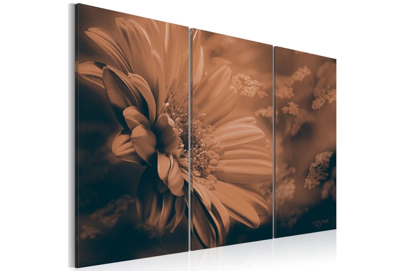 Bilde Intangible Beauty 120x80, Artgeist sp. z o. o.