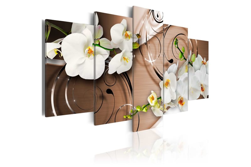 Bilde Ivory Orchids 100x50, Artgeist sp. z o. o.