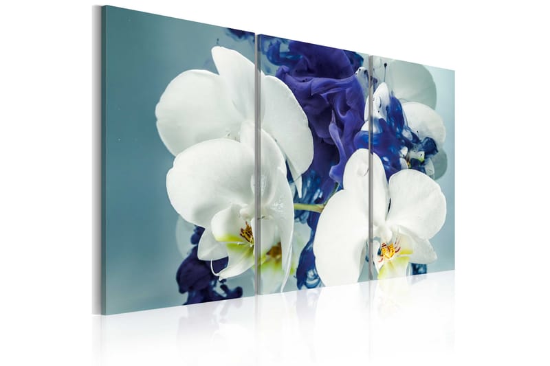 Bilde Kimære Orkidéer 120x80 - Artgeist sp. z o. o. - Innredning - Bilder & kunst - Lerretsbilder