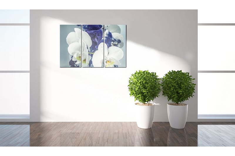 Bilde Kimære Orkidéer 120x80 - Artgeist sp. z o. o. - Innredning - Bilder & kunst - Lerretsbilder