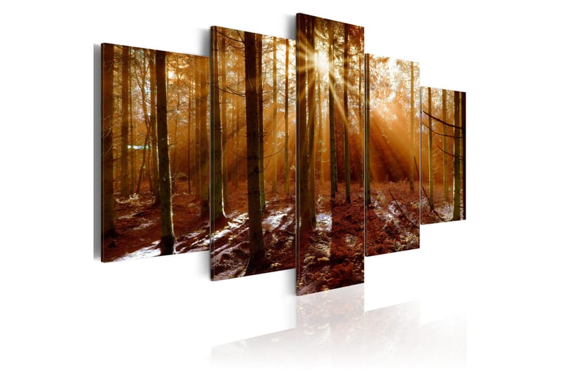 Bilde Kiss Of Autumn 100x50, Artgeist sp. z o. o.