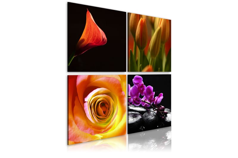 Bilde Kjernen Av Skjønnhet 40x40 - Artgeist sp. z o. o. - Innredning - Bilder & kunst - Lerretsbilder