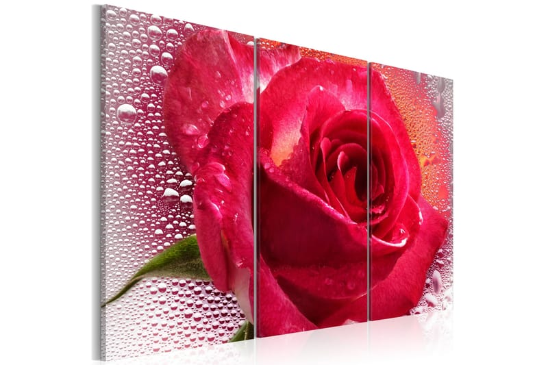 Bilde Lady Rose Triptych 60x40, Artgeist sp. z o. o.