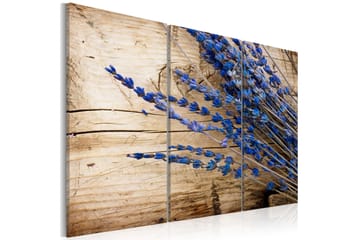 Bilde Lavander 60x40