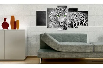 Bilde Leopard Black&White 100x50 - Artgeist sp. z o. o. - Innredning - Bilder & kunst - Lerretsbilder