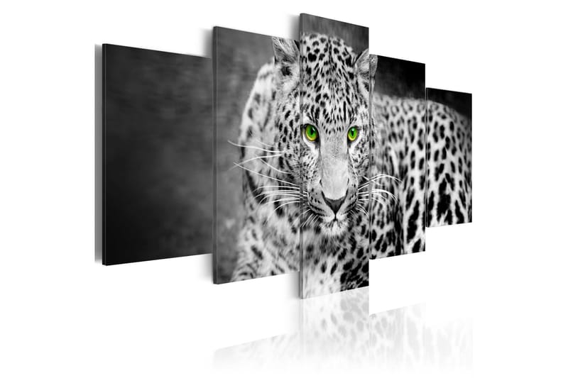 Bilde Leopard Black&White 200x100, Artgeist sp. z o. o.