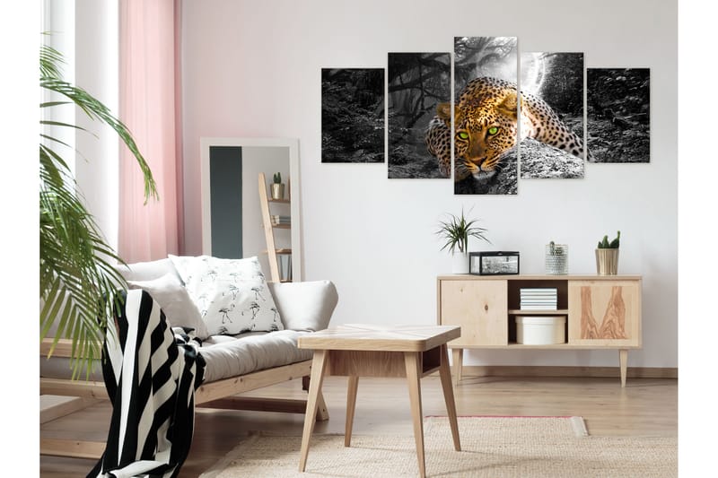 Bilde Leopard Lying 5 Parts Wide Grey 100x50 - Artgeist sp. z o. o. - Innredning - Bilder & kunst - Lerretsbilder