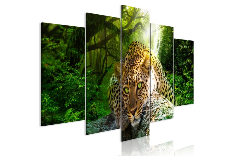 Bilde Leopard Lying 5 Parts Wide Green 100x50 - Artgeist sp. z o. o. - Lerretsbilder