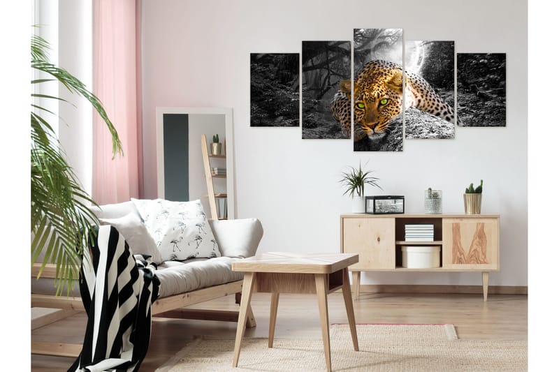 Bilde Leopard Lying 5 Parts Wide Grey 100x50 - Artgeist sp. z o. o. - Innredning - Bilder & kunst - Lerretsbilder