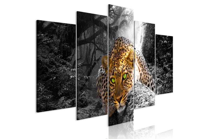 Bilde Leopard Lying 5 Parts Wide Grey 100x50 - Artgeist sp. z o. o. - Lerretsbilder