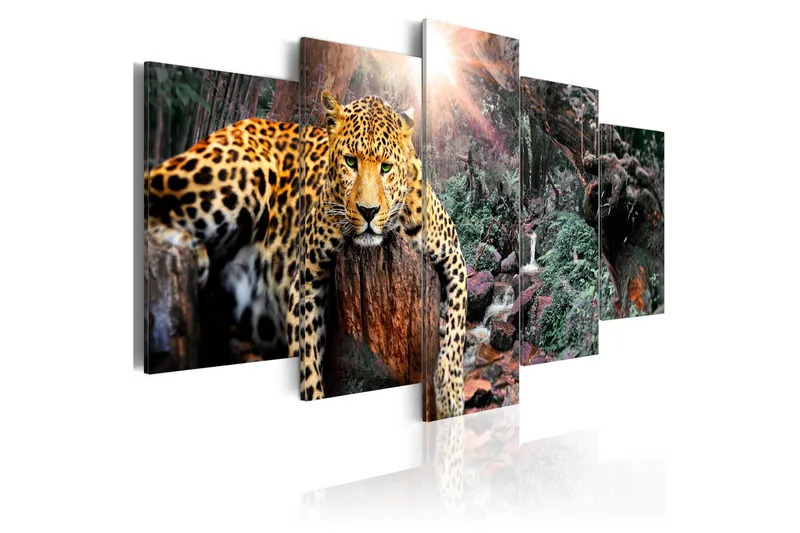 Bilde Leopard Relaxation 100x50 - Artgeist sp. z o. o. - Innredning - Bilder & kunst - Lerretsbilder